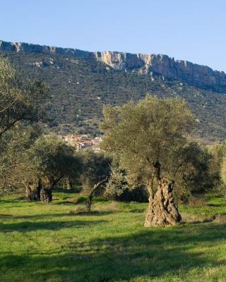 Ελιές Αριάνα, Ελιές Μαύρες, Ελιές Πράσινες, Ελιές Καλαμών , Τουρσί, Ελαιόλαδο, Σπορέλαιο | Παραδοσιακός Ελαιώνας | Χονδρική |Ελιές Μαύρες, Ελιές Πράσινες, Ελιές Καλαμών , Τουρσί, Ελαιόλαδο, Σπορέλαιο | Παραδοσιακός Ελαιώνας | Χονδρική |Ελιές Μαύρες, Ελιές Πράσινες, Ελιές Καλαμών , Τουρσί, Ελαιόλαδο, Σπορέλαιο